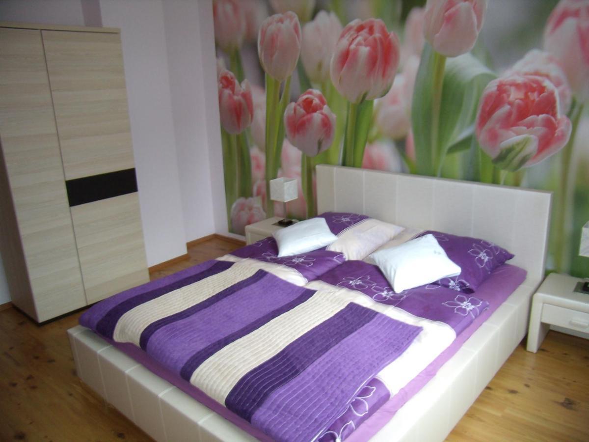 Apartament Nad Lomniczka كارباش المظهر الخارجي الصورة